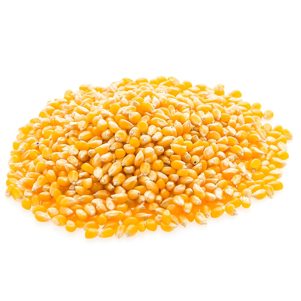 Maize - photo 3